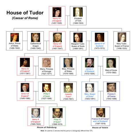 cotrobai tudor|house of tudor dynasty.